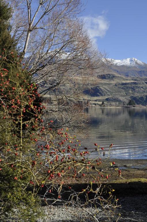 Lansdown Villa Apartments Wanaka Exterior photo